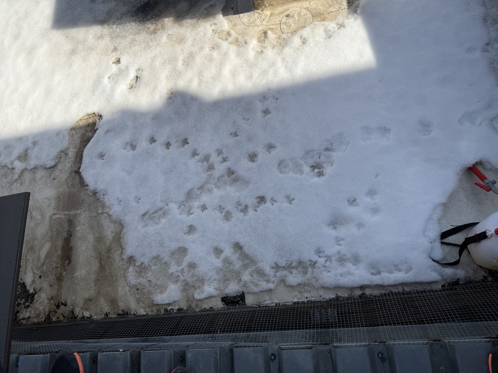 Roof - Near Generator
